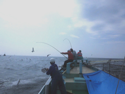 佐島の漁師がやってくる6