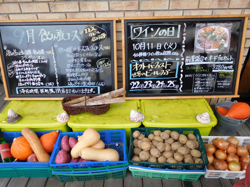 野菜がお出迎え