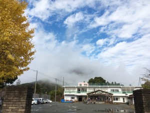 イチョウと旧共和小学校