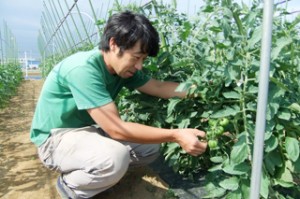 グリーンゼブラを手にする小金井さん